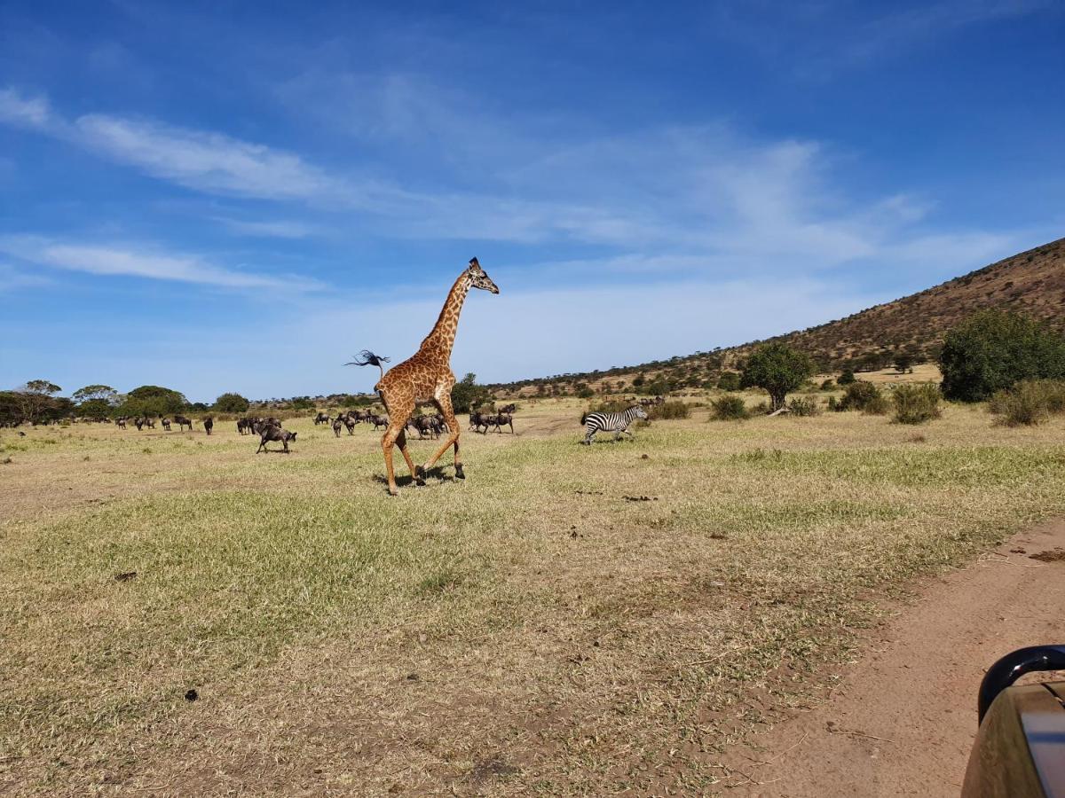 Africa Safari Lake Natron Mtowabaga 外观 照片