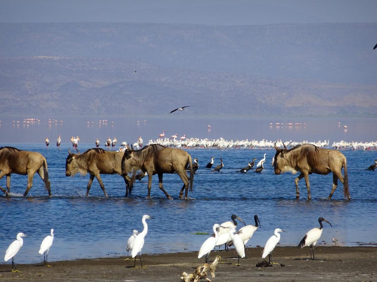 Africa Safari Lake Natron Mtowabaga 外观 照片