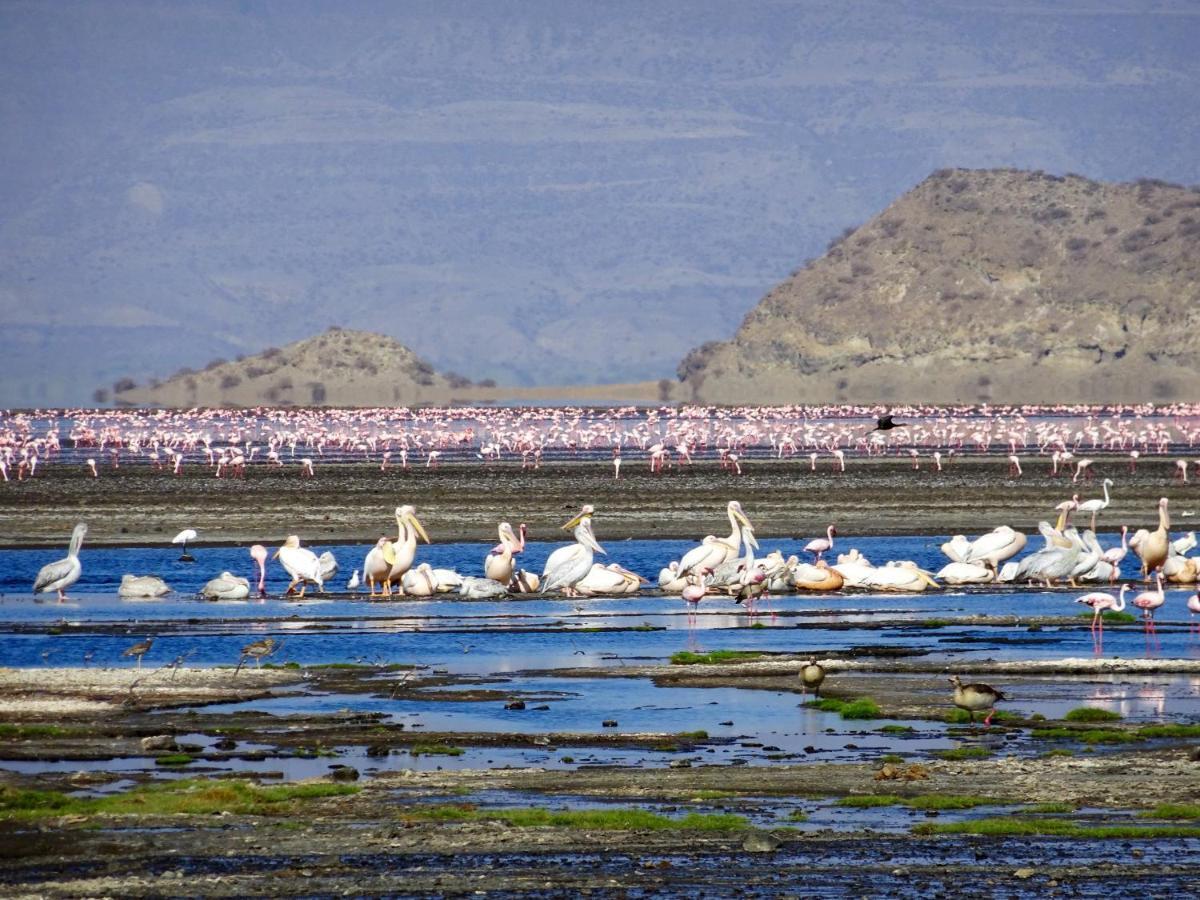 Africa Safari Lake Natron Mtowabaga 外观 照片